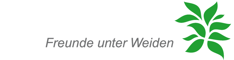 Auerworld Festival