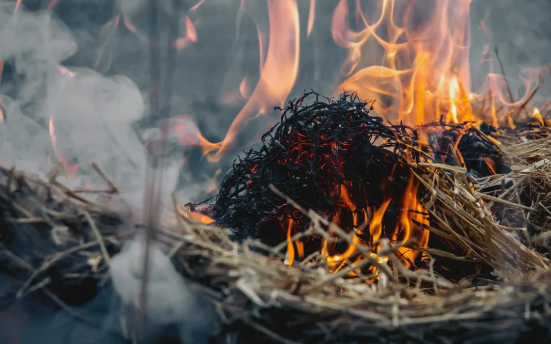 Sicherheit und Gemeinschaft: Umgang mit Feuer auf dem Auerworld Festival